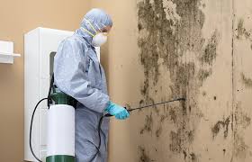 Mold Remediation for Rental Properties